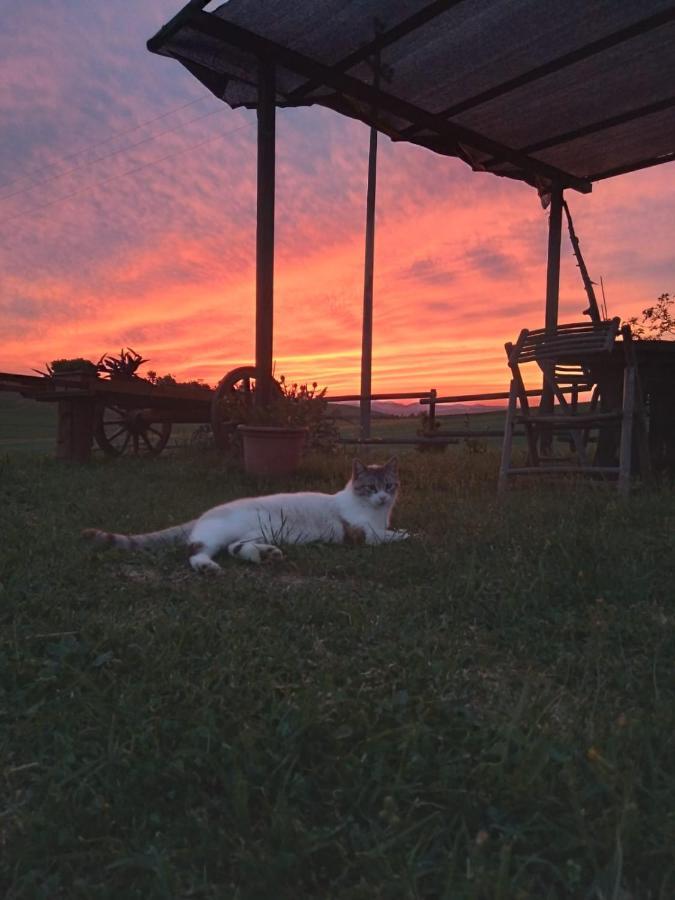 Agriturismo Enjoy Sunset Чиниджиано Экстерьер фото